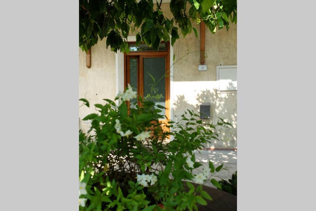 La Casina Di Bruna Mommio Kültér fotó