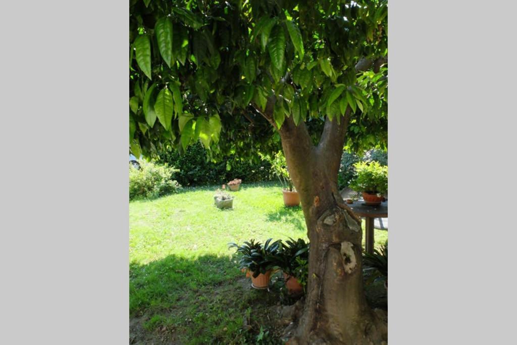 La Casina Di Bruna Mommio Kültér fotó