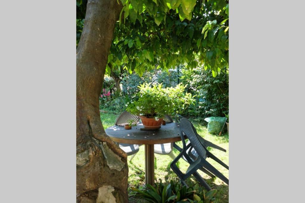 La Casina Di Bruna Mommio Kültér fotó
